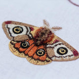 Moth Embroidery Stitch Sampler