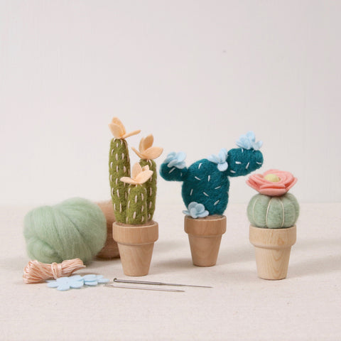 Cactus Needle Felting Kit