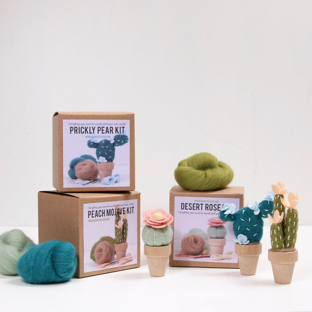 Kissbuty Full Range of Needle Felting Kit, Cactus Wool Felted Set for Adults and Beginners Including Wool Roving for 8 Succulents, Foam Mat, Glass