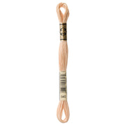 DMC Embroidery Floss, Orange Palette - 945 / Peach