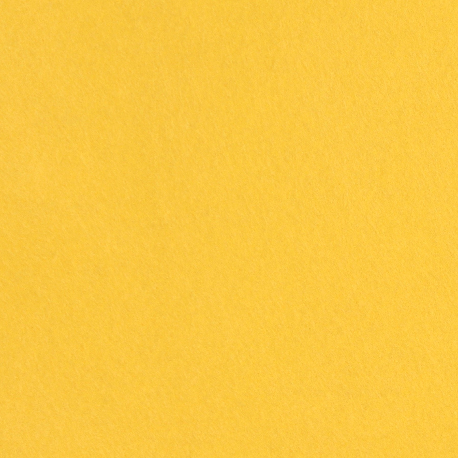 Dandelion Wool Blend Felt