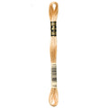 DMC Embroidery Floss, Brown Palette