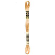 DMC Embroidery Floss, Brown Palette - 738 / Shortbread
