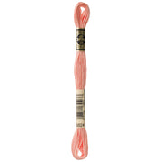 DMC Embroidery Floss, Pink Palette - 3824 / Guava
