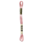 DMC Embroidery Floss, Pink Palette