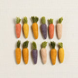 Carrots, Heirloom Variety