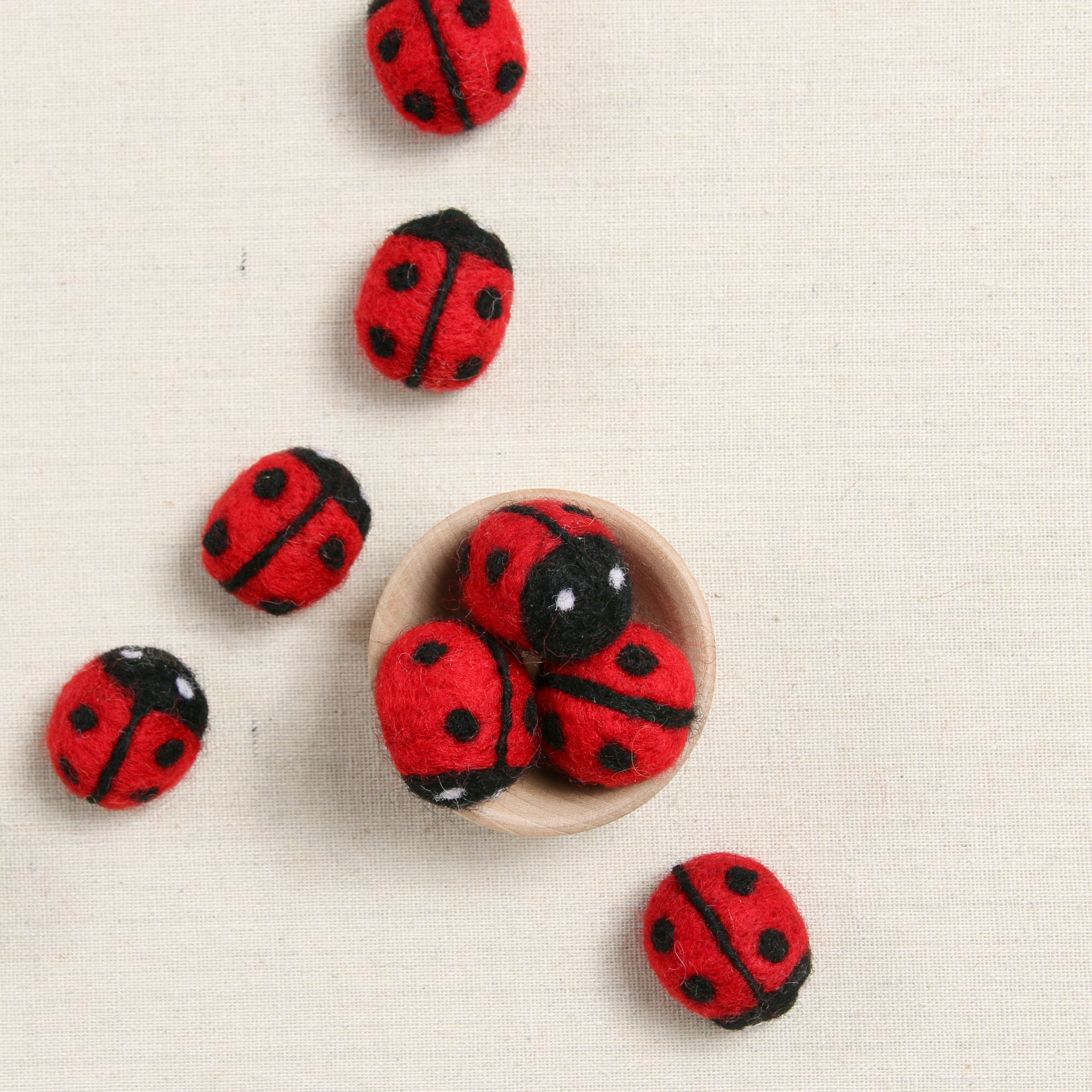 Ladybug