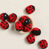 Ladybug