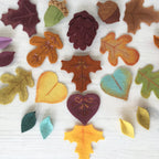 Autumn Leaves Felt Pattern