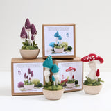 Mushroom Needle Felting Kits -Wholesale