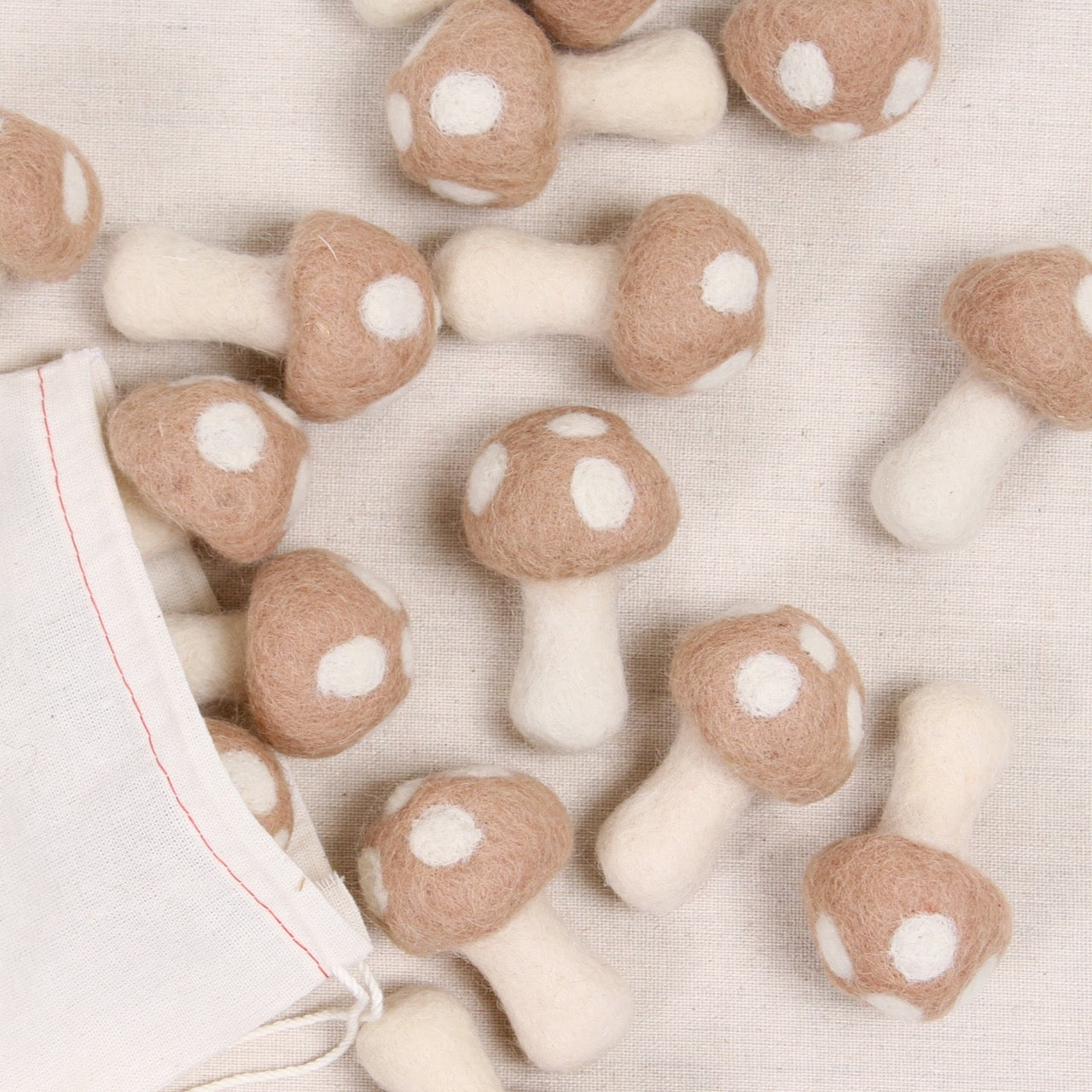Mushrooms, Latte Bundle