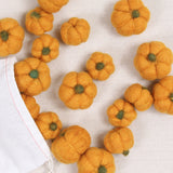 Pumpkins in Butterscotch Orange