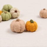 Pumpkins in Cameo Pink