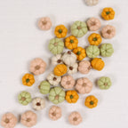 Pumpkins in Butterscotch Orange