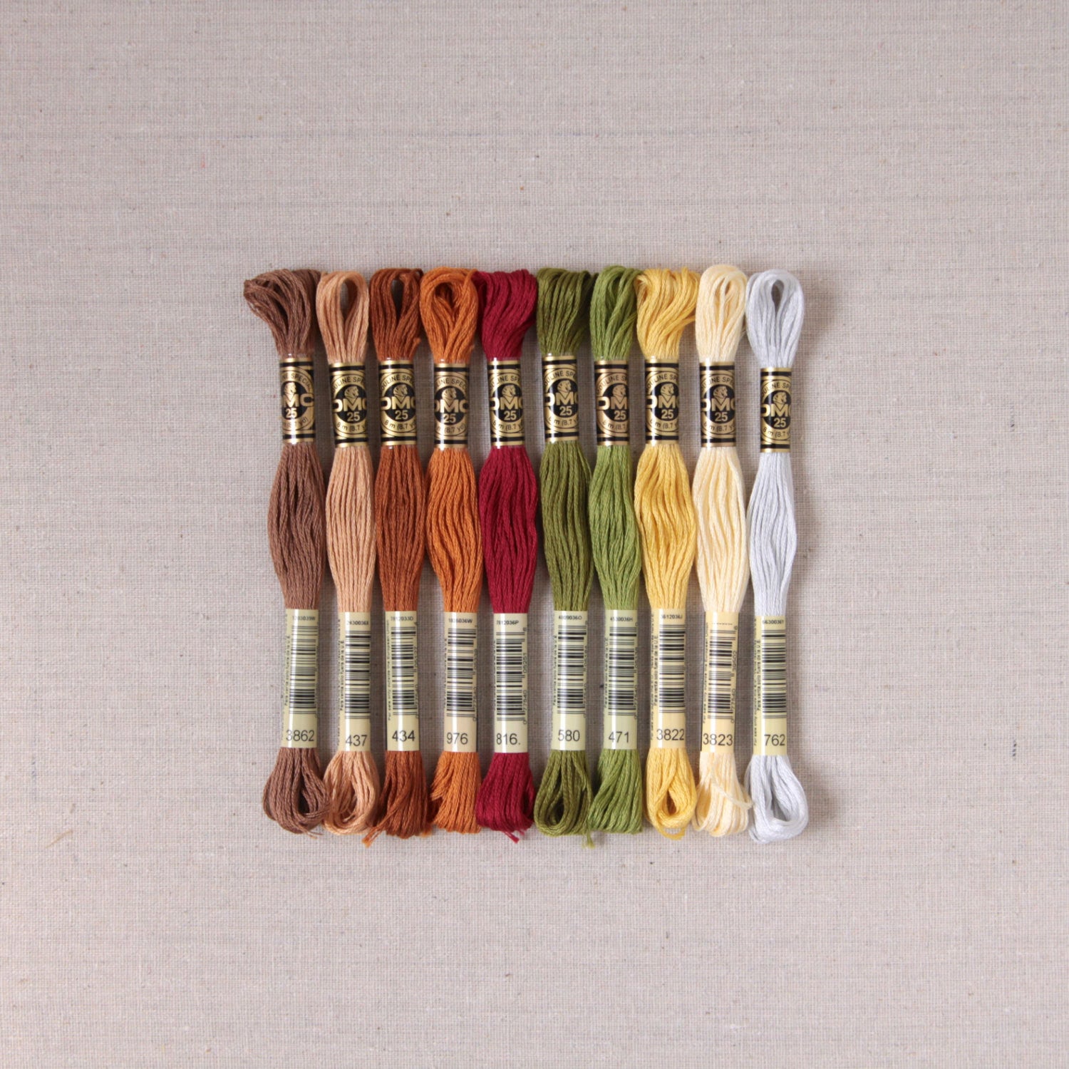 Feast Palette
