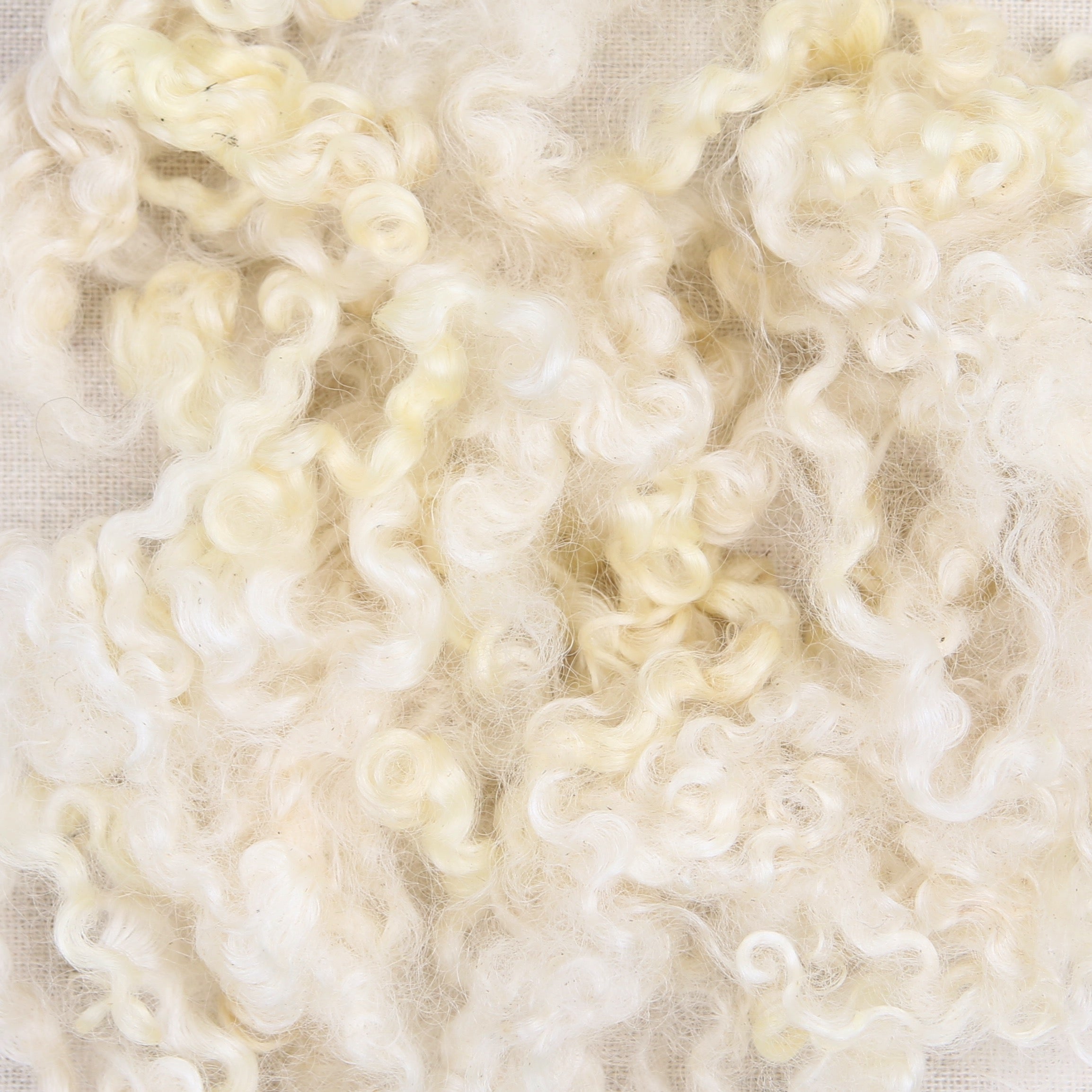 Wensleydale Curls, Natural