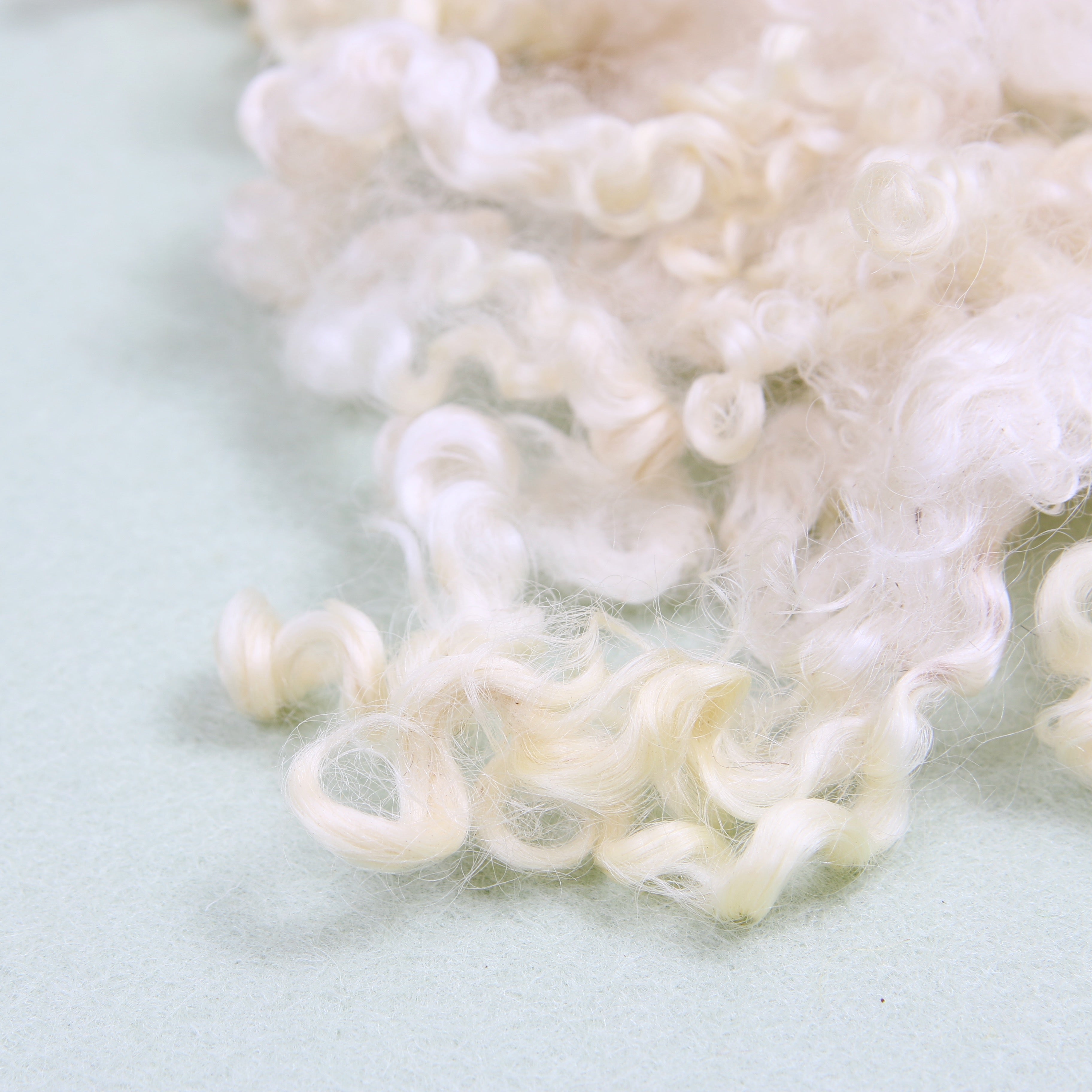 Wensleydale Curls, Natural